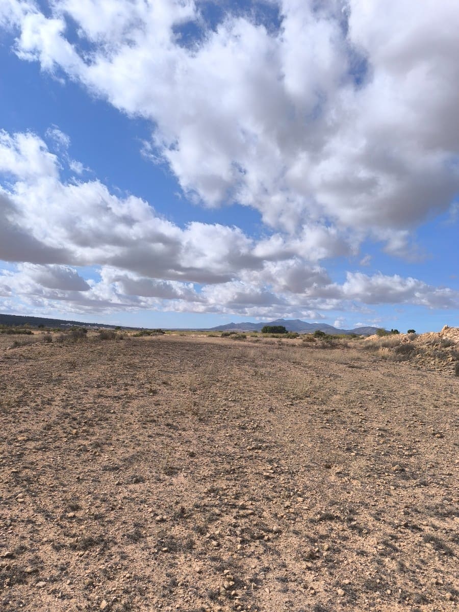 Ubebygd land til salgs i Pinoso - € 19 000 (Ref: 9352805)