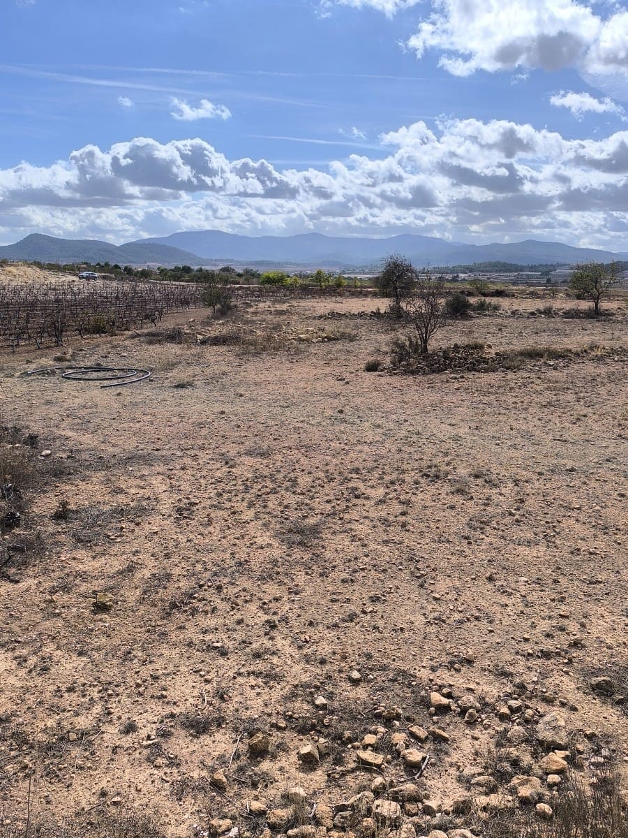 Ubebygd land til salgs i Pinoso - € 19 000 (Ref: 9352805)