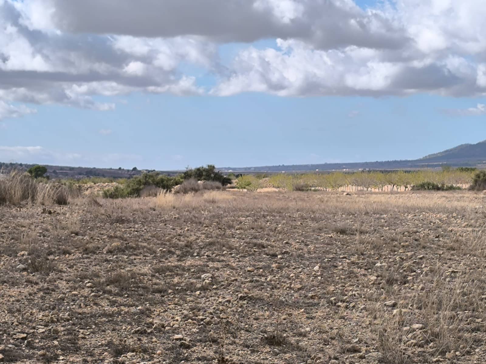 Ubebygd land til salgs i Pinoso - € 19 000 (Ref: 9352805)