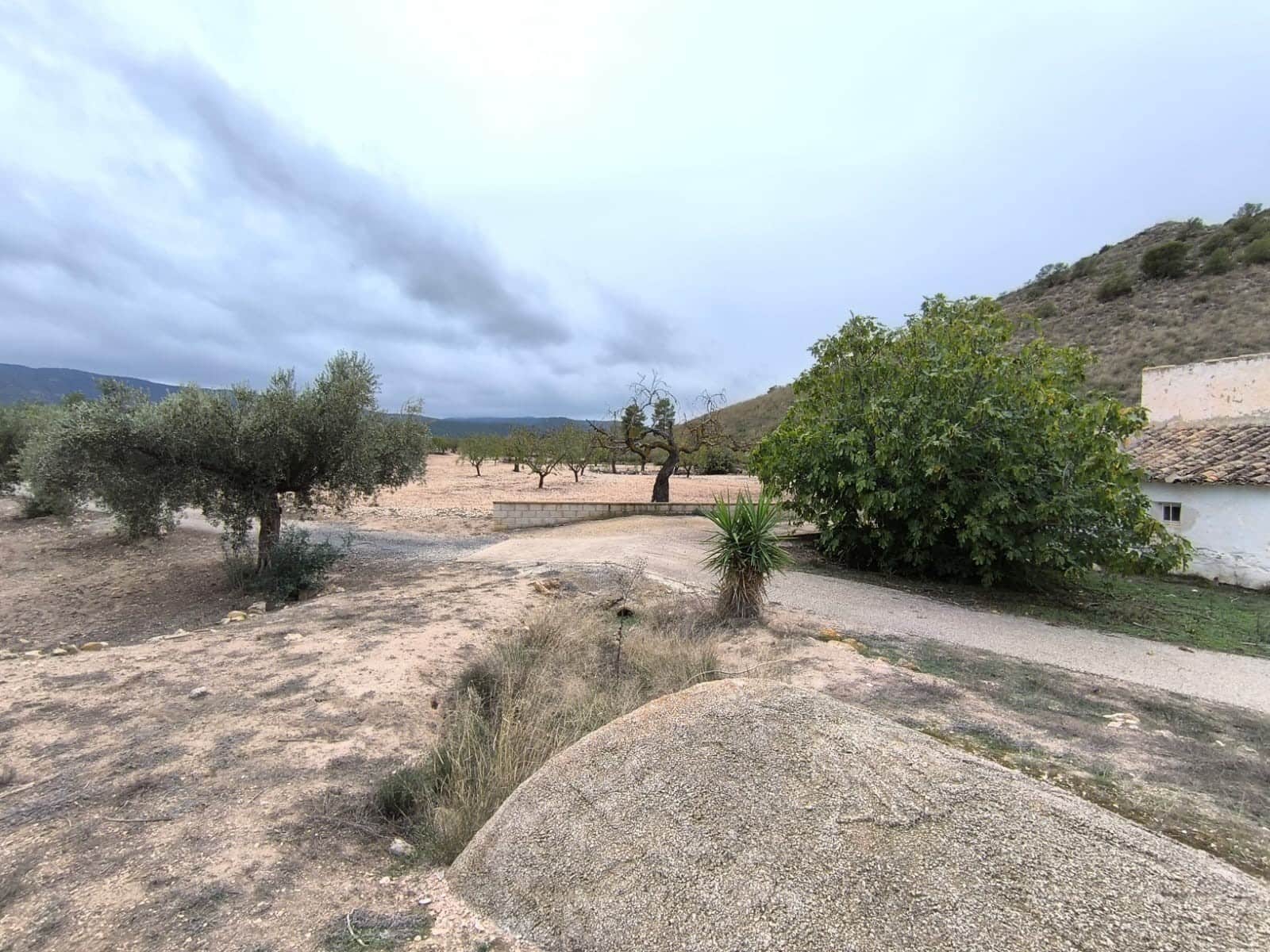 14 soverom Finca/Herregård til salgs i Villena med svømmebasseng - € 135 000 (Ref: 9371492)