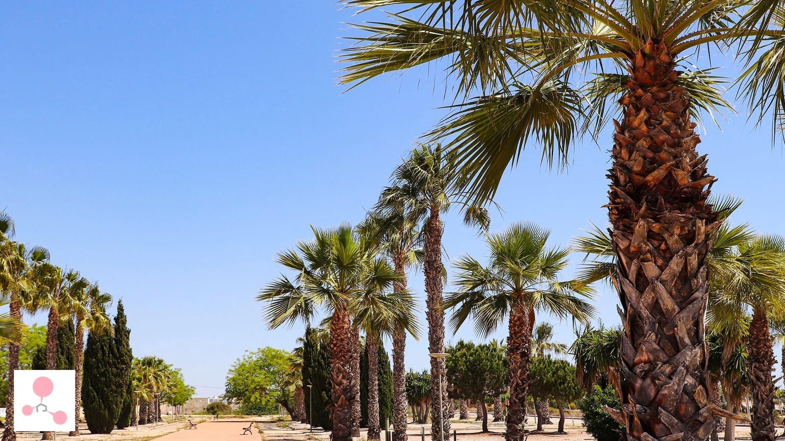 4 soveværelse Villa til salg i Alicante by med swimmingpool - € 1.187.000 (Ref: 9379667)