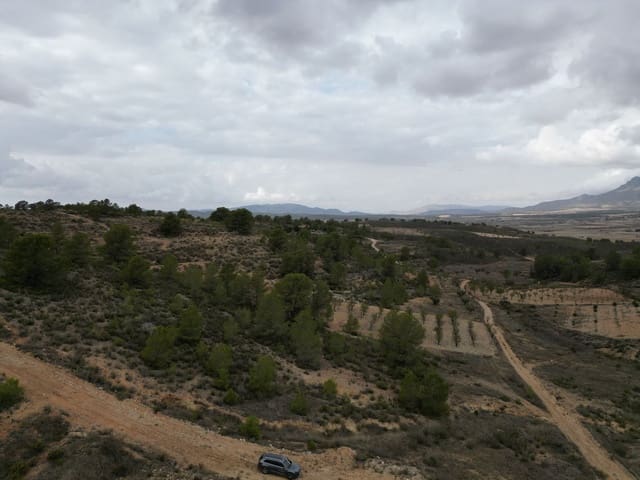 Undeveloped Land for sale in La Zarza, Jumilla - € 45,000 (Ref: 9379703)