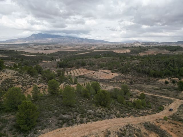 Undeveloped Land for sale in La Zarza, Jumilla - € 45,000 (Ref: 9379703)