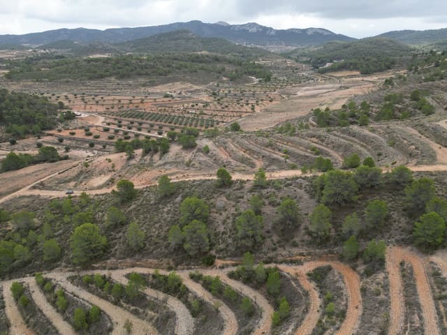 Undeveloped Land for sale in La Zarza, Jumilla - € 45,000 (Ref: 9379703)