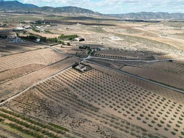 Mark till salu i Lel, Pinoso - 54 995 € (Ref: 9379705)