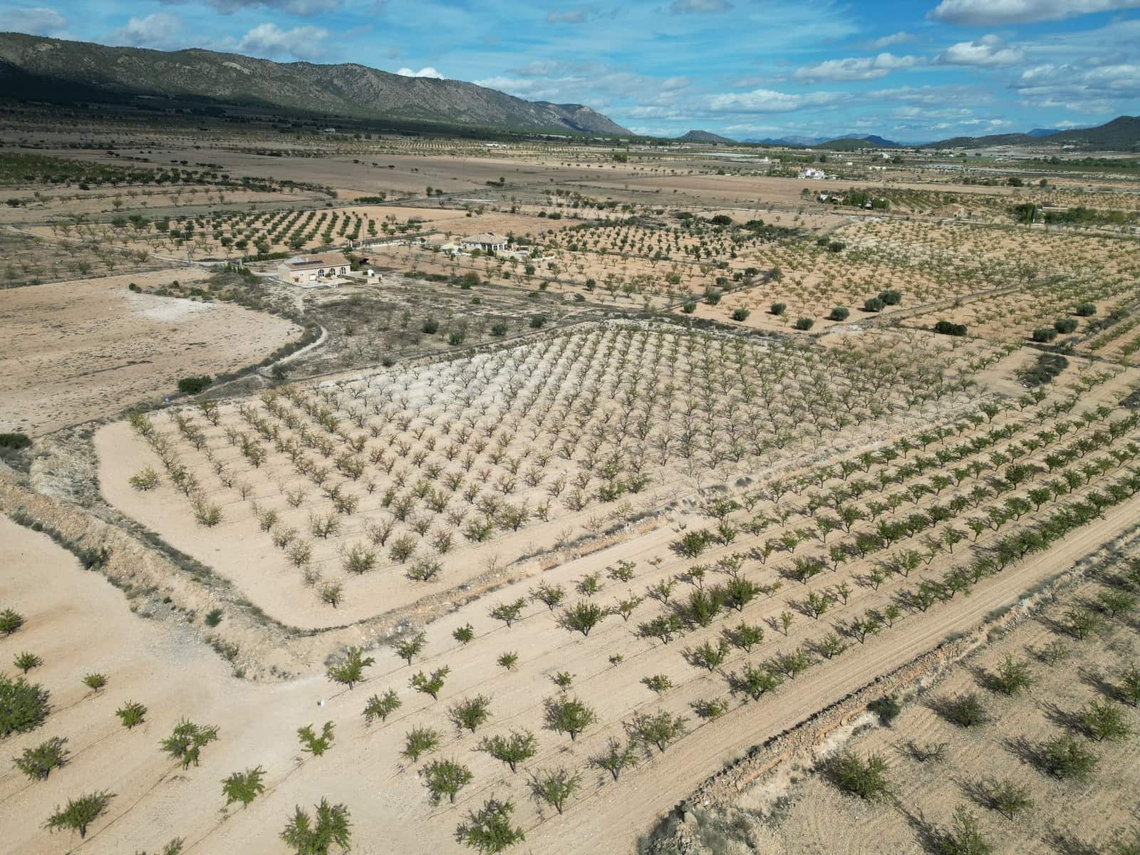 Grunde uden byggetilladelser til salg i Pinoso - € 49.500 (Ref: 9379706)