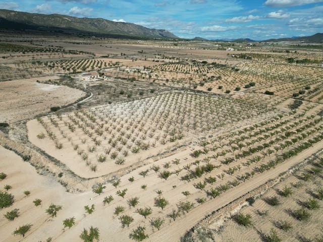 Undeveloped Land for sale in Pinoso - € 49,500 (Ref: 9379706)