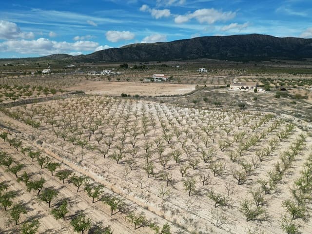 Undeveloped Land for sale in Pinoso - € 49,500 (Ref: 9379706)