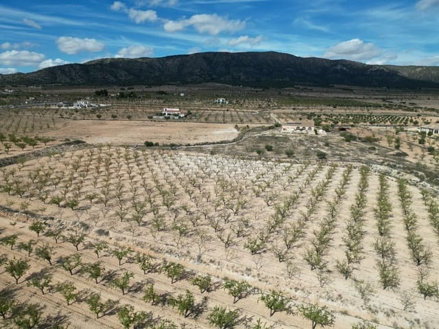 Undeveloped Land for sale in Pinoso - € 49,500 (Ref: 9379706)