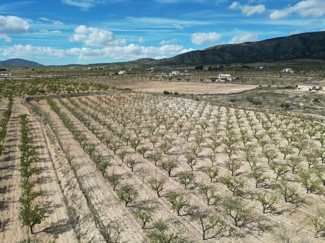 Undeveloped Land for sale in Pinoso - € 49,500 (Ref: 9379706)