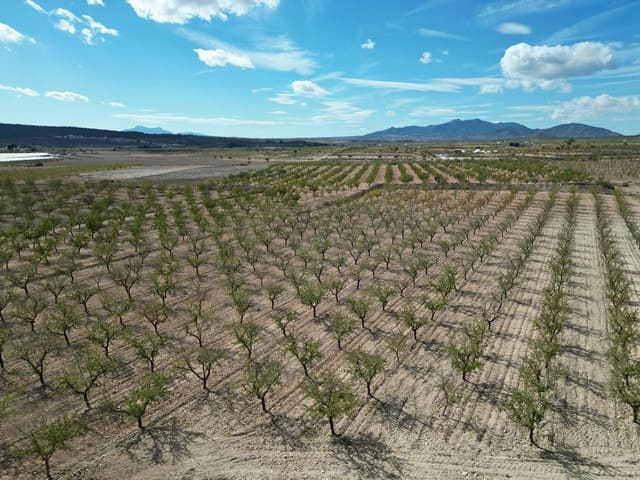 Undeveloped Land for sale in Pinoso - € 49,500 (Ref: 9379706)