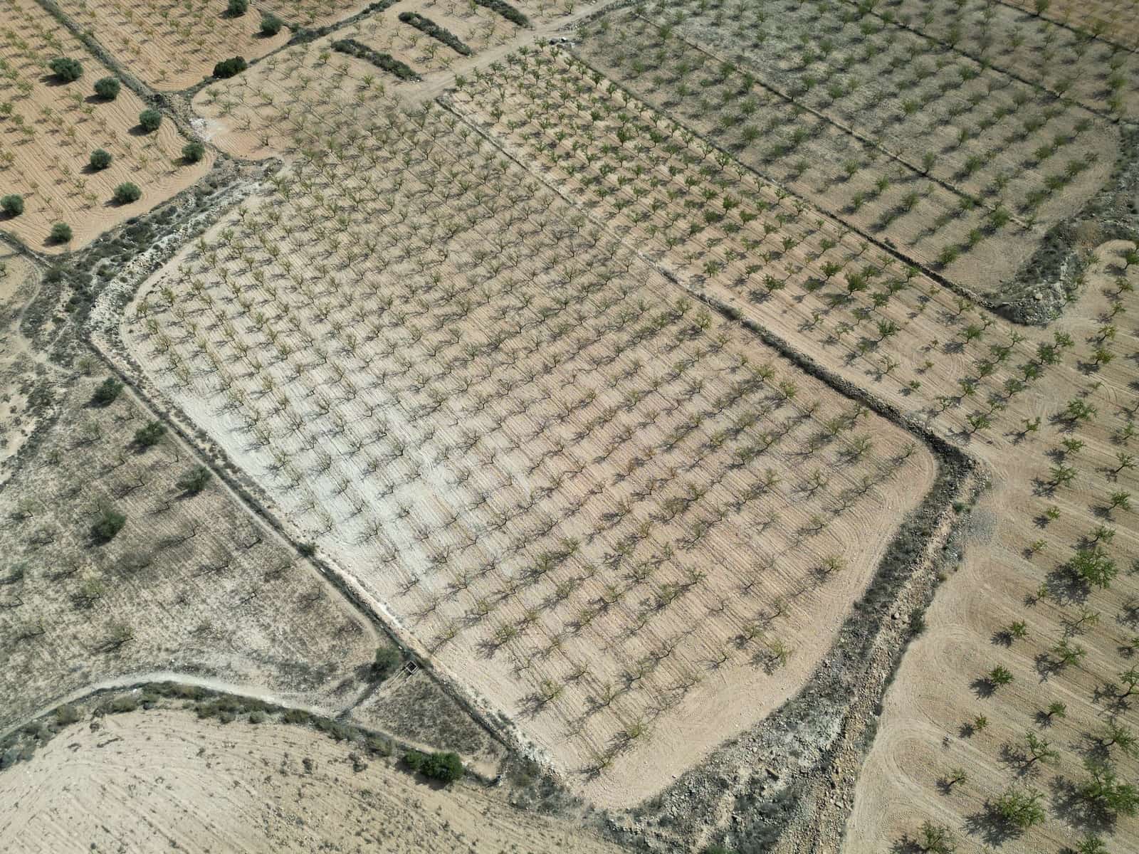 Grunde uden byggetilladelser til salg i Pinoso - € 49.500 (Ref: 9379706)