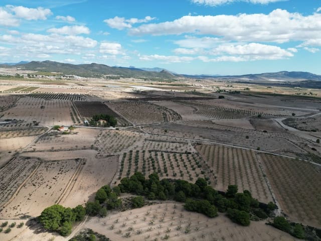 Undeveloped Land for sale in Pinoso - € 49,500 (Ref: 9379707)