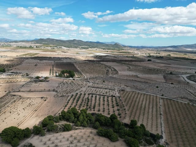 Undeveloped Land for sale in Pinoso - € 49,500 (Ref: 9379707)