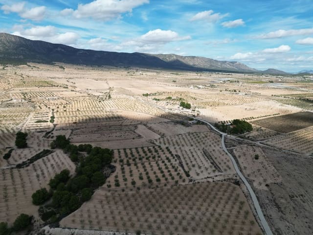 Undeveloped Land for sale in Pinoso - € 49,500 (Ref: 9379707)