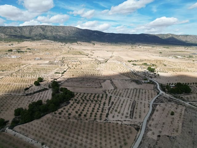 Undeveloped Land for sale in Pinoso - € 49,500 (Ref: 9379707)