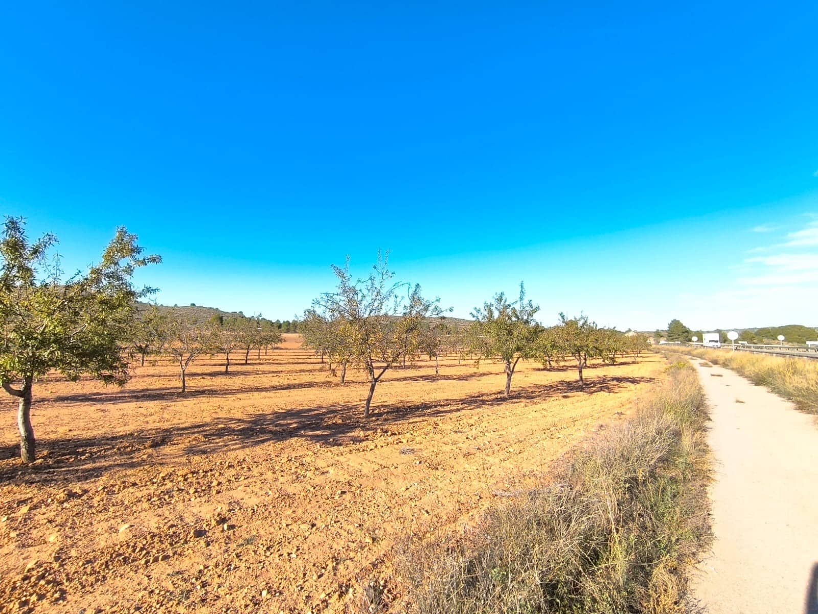 Terre non Aménagée à vendre à Yecla - 48 000 € (Ref: 9380062)