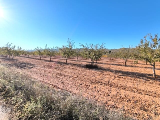 Terre non Aménagée à vendre à Yecla - 48 000 € (Ref: 9380062)
