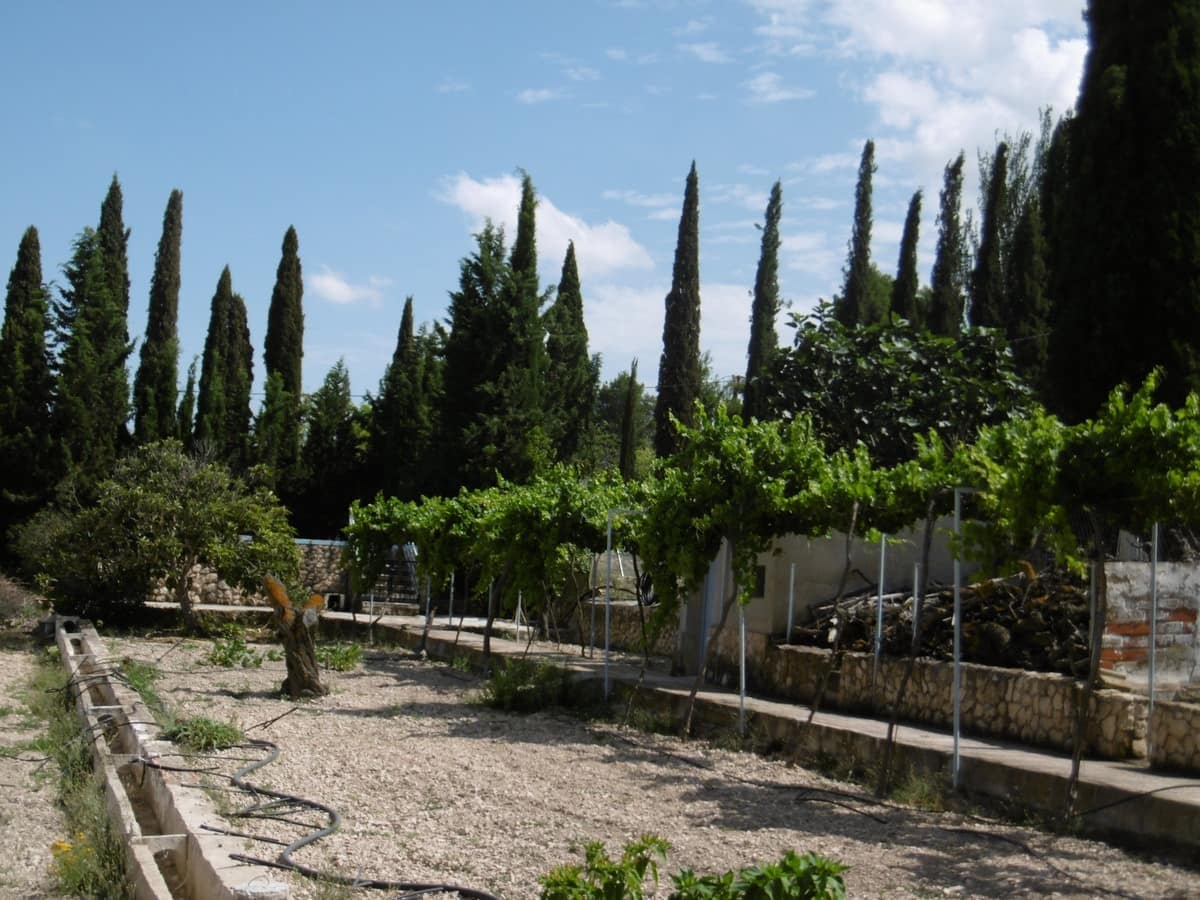 6 bedroom Villa for sale in Yecla with pool garage - € 189,000 (Ref: 9383536)