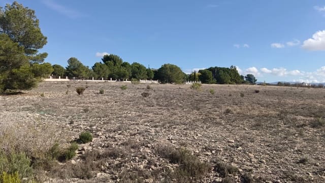Landgrundstück zu verkaufen in Salinas - 74.999 € (Ref: 9385927)