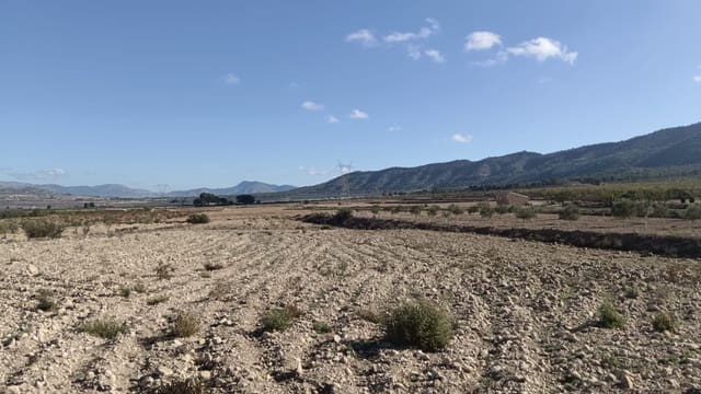 Ubebygd land til salgs i Salinas - € 47 999 (Ref: 9386285)