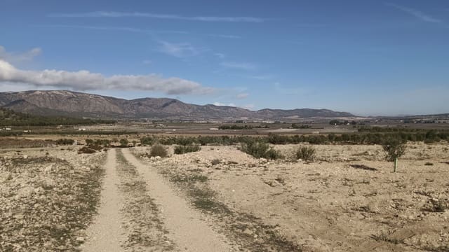Ubebygd land til salgs i Salinas - € 47 999 (Ref: 9386285)