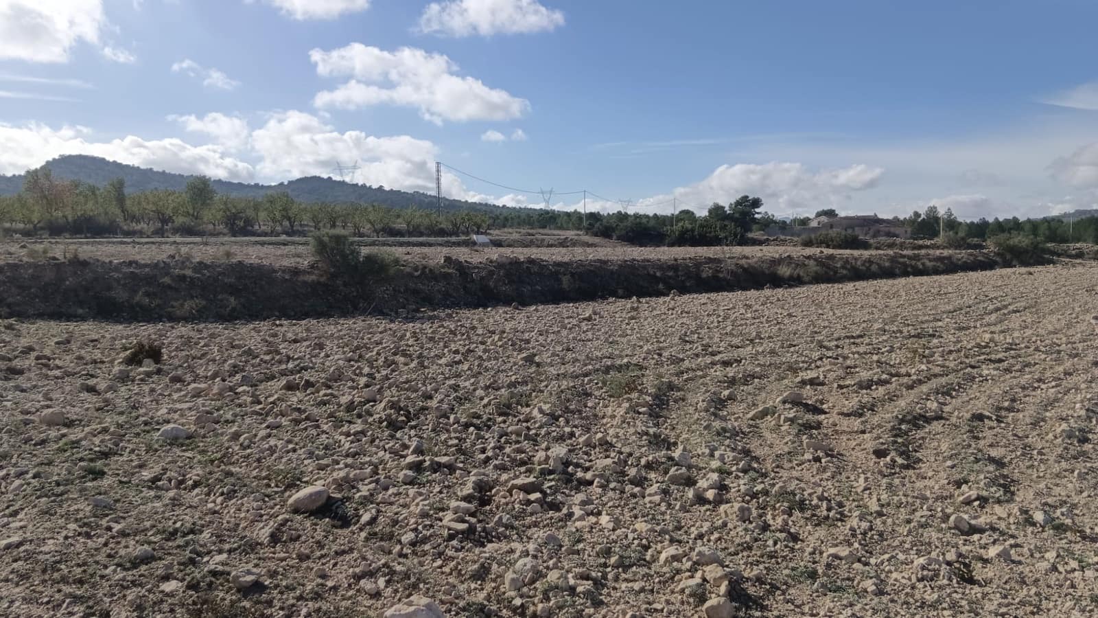 Grunde uden byggetilladelser til salg i Salinas - € 47.999 (Ref: 9386285)