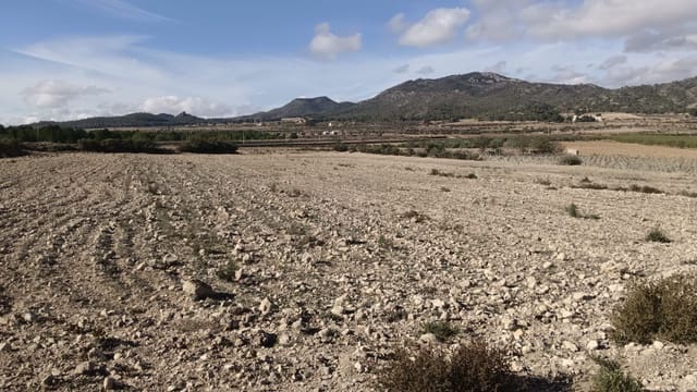 Ubebygd land til salgs i Salinas - € 47 999 (Ref: 9386285)