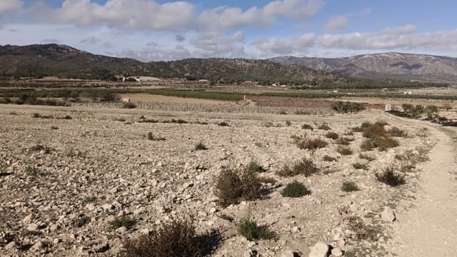 Ubebygd land til salgs i Salinas - € 47 999 (Ref: 9386285)