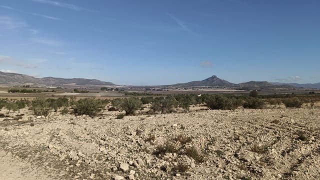 Ubebygd land til salgs i Salinas - € 47 999 (Ref: 9386285)