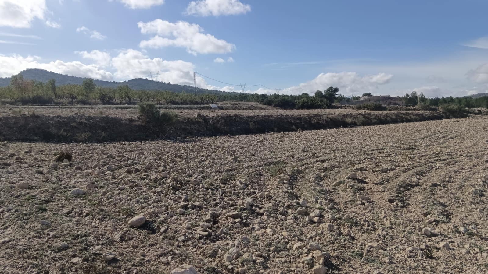 Ubebygd land til salgs i Salinas - € 47 999 (Ref: 9386285)