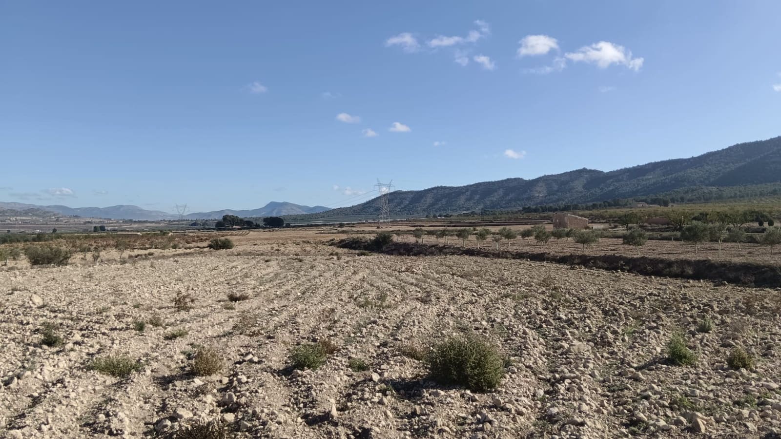 Ubebygd land til salgs i Salinas - € 47 999 (Ref: 9386285)