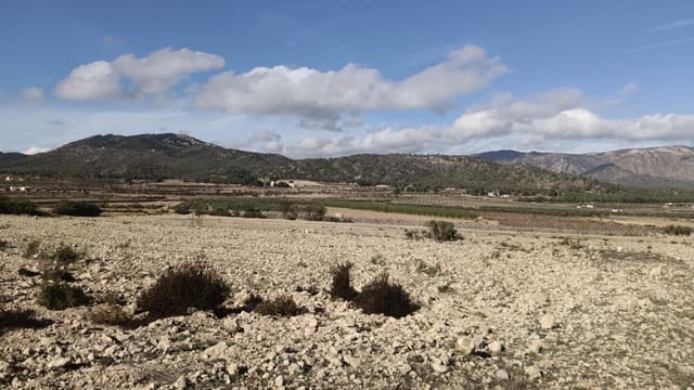 Ubebygd land til salgs i Salinas - € 47 999 (Ref: 9386285)