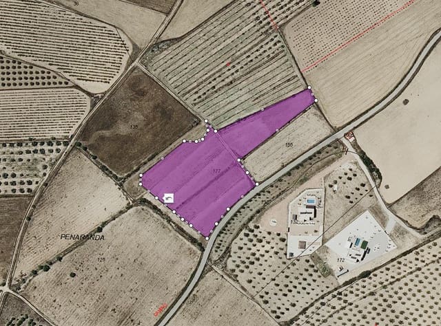 Ubebygd land til salgs i Salinas - € 47 999 (Ref: 9386285)