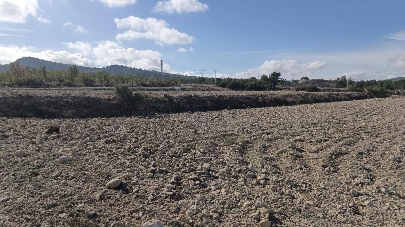 Undeveloped Land for sale in Salinas - € 47,999 (Ref: 9386285)
