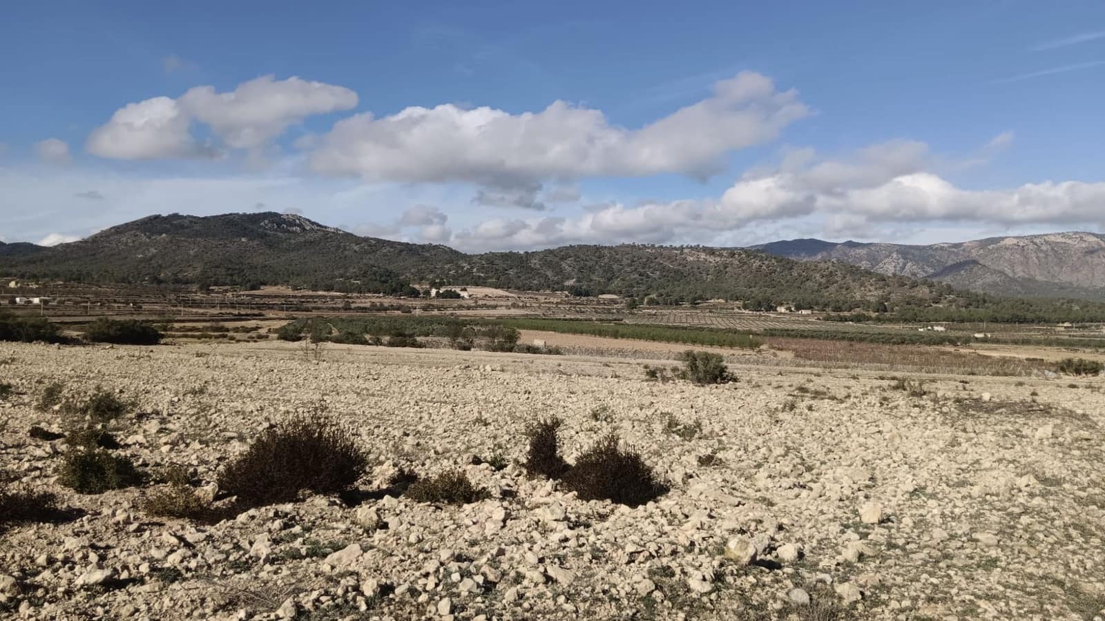 Undeveloped Land for sale in Salinas - € 47,999 (Ref: 9386285)