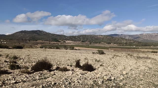 Grond te koop in Salinas - € 47.999 (Ref: 9386285)