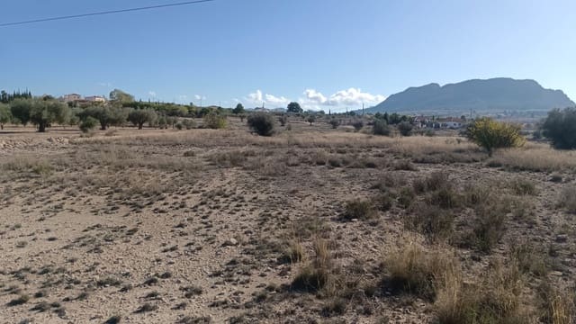 Mark till salu i Salinas - 54 999 € (Ref: 9386286)