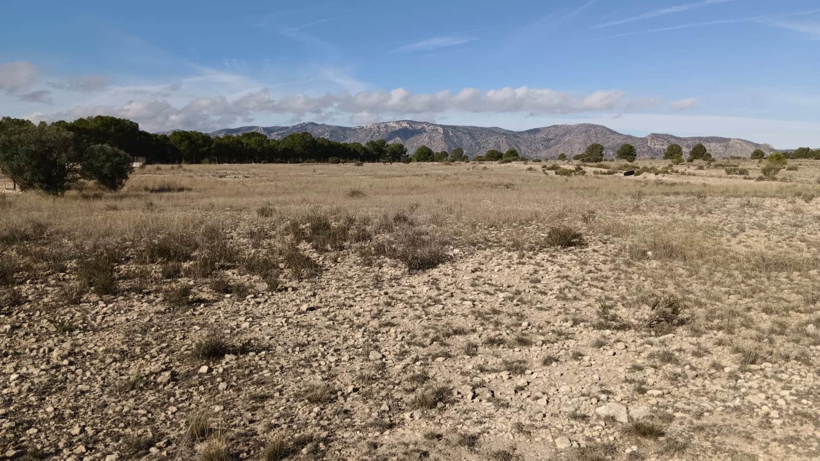 Landgrundstück zu verkaufen in Salinas - 54.999 € (Ref: 9386286)