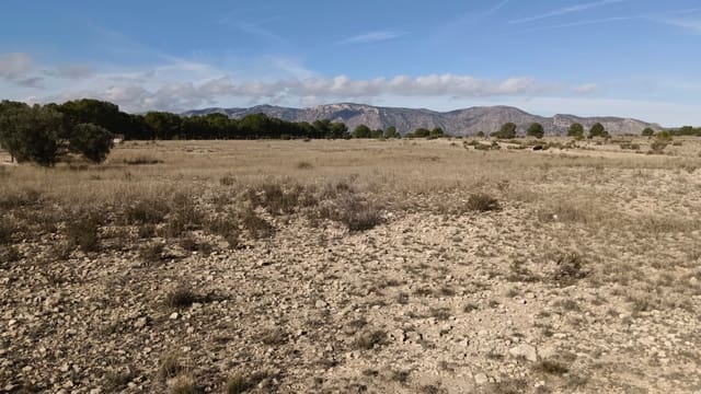 Landgrundstück zu verkaufen in Salinas - 54.999 € (Ref: 9386286)