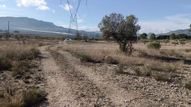 Landgrundstück zu verkaufen in Salinas - 54.999 € (Ref: 9386286)