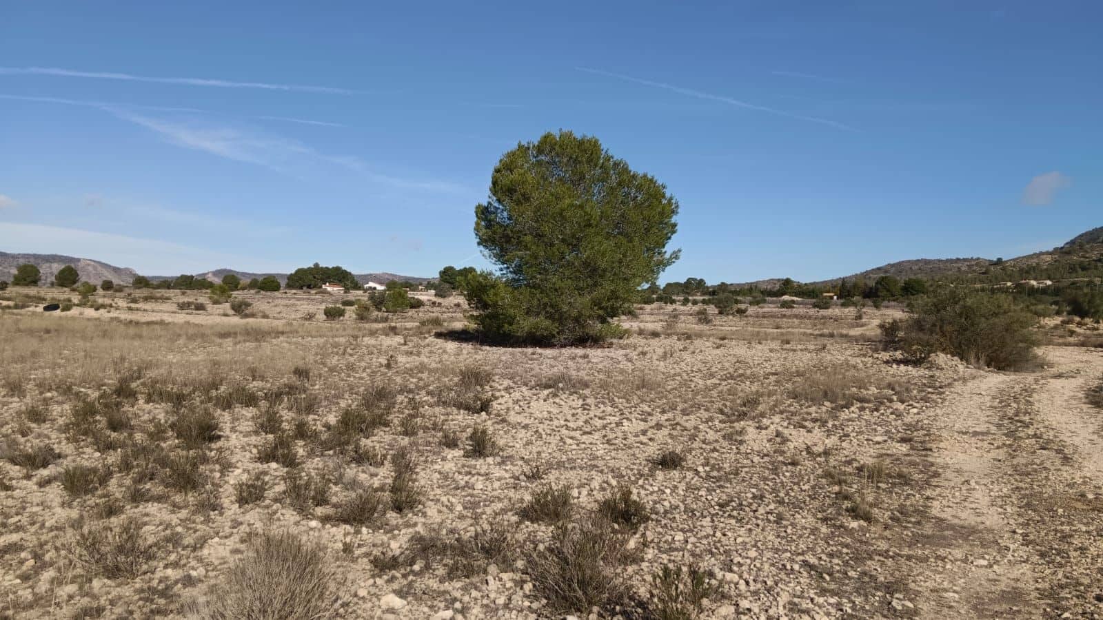 Undeveloped Land for sale in Salinas - € 54,999 (Ref: 9386286)