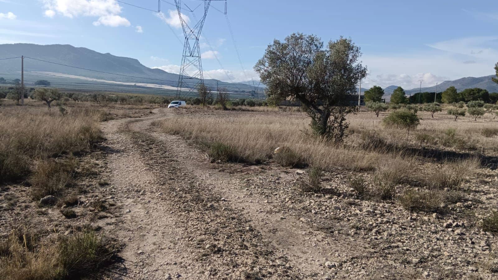 Undeveloped Land for sale in Salinas - € 54,999 (Ref: 9386286)