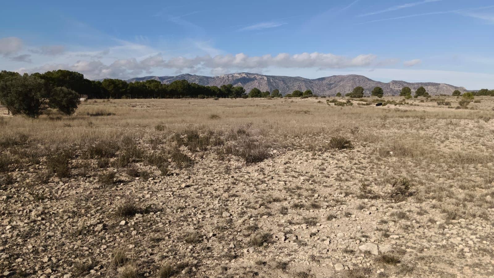 Undeveloped Land for sale in Salinas - € 54,999 (Ref: 9386286)