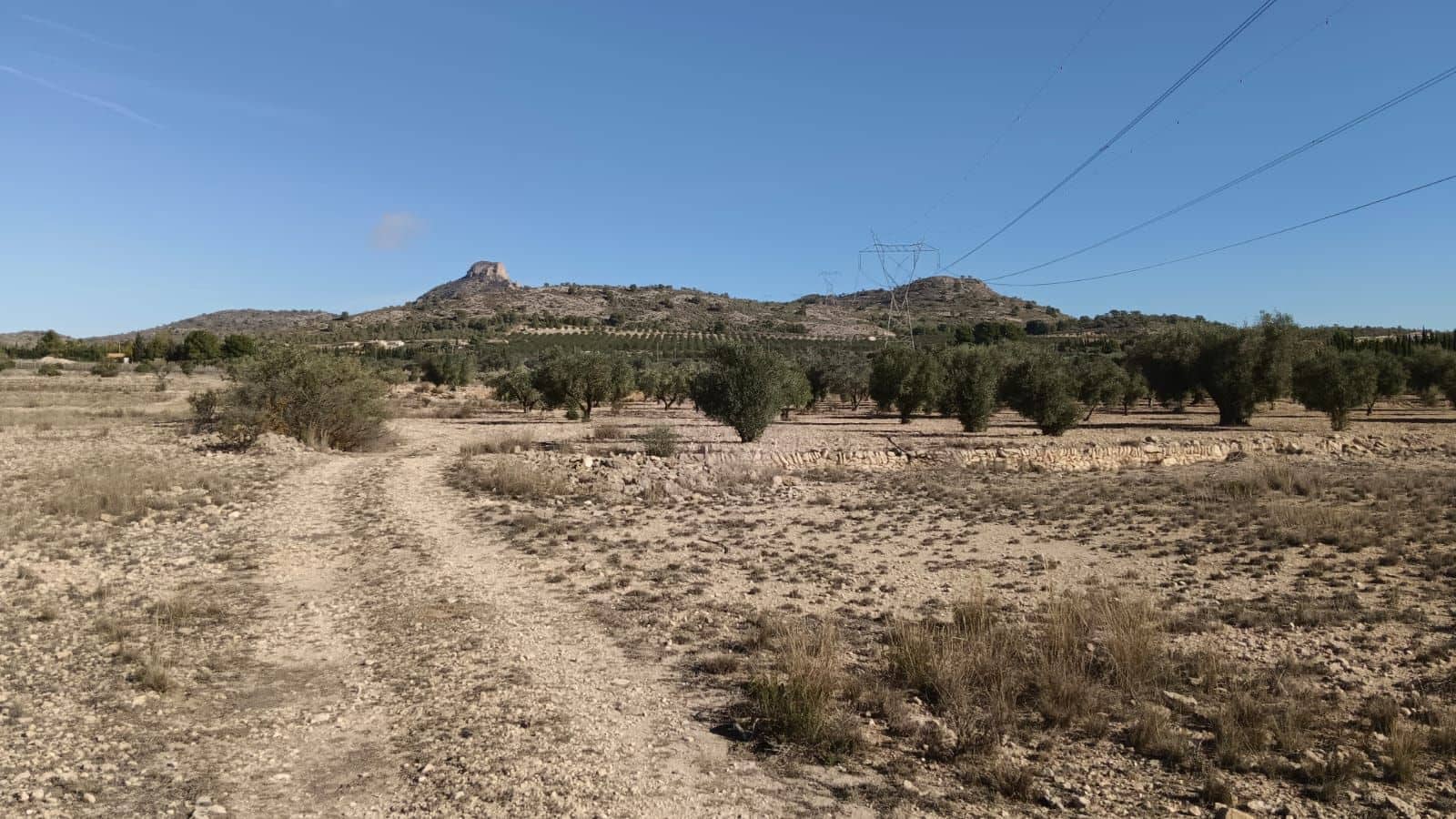 Undeveloped Land for sale in Salinas - € 54,999 (Ref: 9386286)