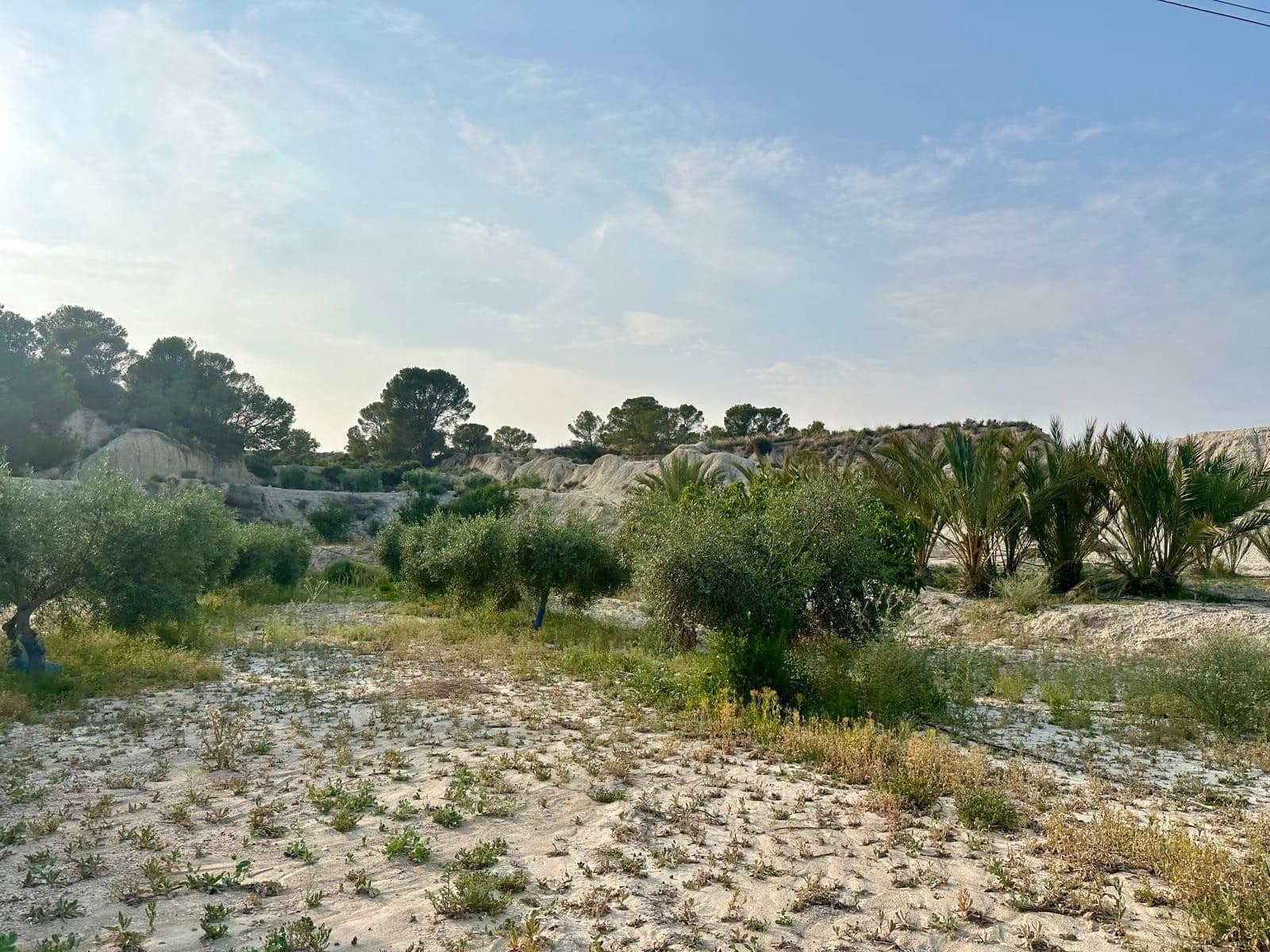 5 chambre Finca/Maison de Campagne à vendre à Abanilla avec garage - 267 500 € (Ref: 9386710)