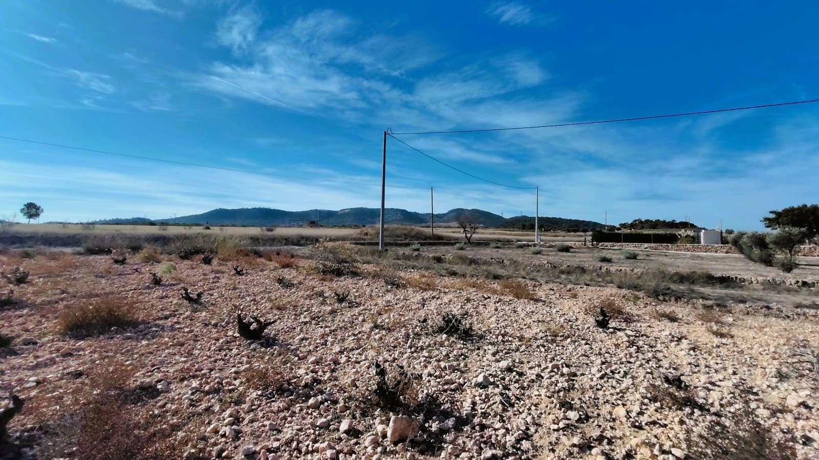 Teren niezagospodarowany na sprzedaż w Jumilla - 149 900 € (Ref: 9387116)