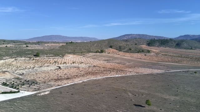 Mark till salu i Jumilla - 149 900 € (Ref: 9387116)