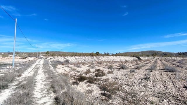 Mark till salu i Jumilla - 149 900 € (Ref: 9387116)