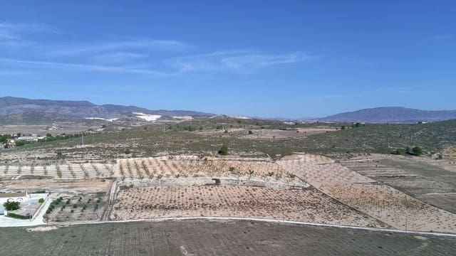 Mark till salu i Jumilla - 149 900 € (Ref: 9387116)